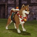 MMORPG『キャラバンストーリーズ』新ヒーロー「ラルフ」「ロンヴァルド」追加。ビースト捕獲祭や期間限定ビースト「シバイヌ」が出現