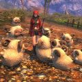 MMORPG『プロジェクトエターナル』予想を超える申込みを受け、CBT参加者枠4,000人追加の二次募集を実施